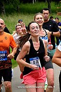 DSC_8498.jpg