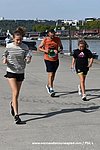 Dsc 1569.jpg