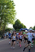 IMG_3249 2.jpg