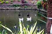 A099-IMG_5113.jpg