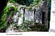 A112-IMG_5136.jpg