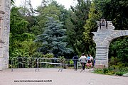 A262-IMG_5302.jpg