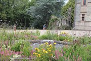 A413-IMG_5454.jpg