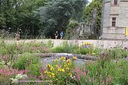 A414-IMG_5455.jpg