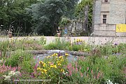 A415-IMG_5456.jpg