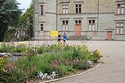 A418-IMG_5459.jpg