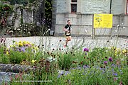 A424-IMG_5465.jpg