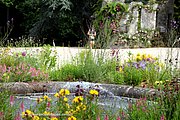 A428-IMG_5471.jpg