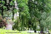 B001-IMG_5521.jpg