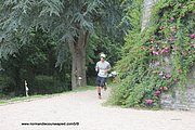 B238-IMG_5771.jpg