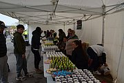 DSC_9886.jpg