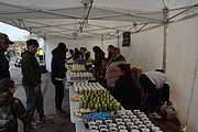 DSC_9887.jpg