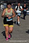 Dsc 3339.jpg