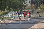IMG_8096.jpg