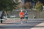 IMG_8268.jpg