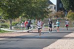 IMG_8285.jpg