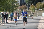 IMG_8428.jpg