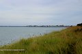 IMG_8270