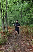 IMG_3996.jpg