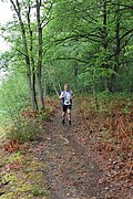 IMG_4005.jpg