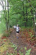 IMG_4009.jpg