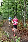 IMG_4030.jpg