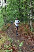 IMG_4056.jpg