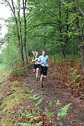 IMG_4063.jpg
