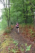 IMG_4068.jpg