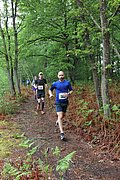IMG_4078.jpg