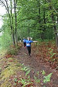IMG_4111.jpg