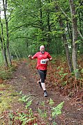 IMG_4137.jpg