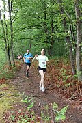 IMG_4164.jpg