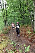IMG_4166.jpg