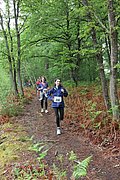 IMG_4172.jpg