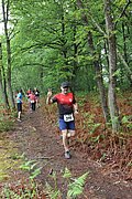 IMG_4181.jpg