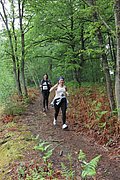IMG_4196.jpg