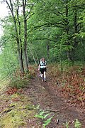 IMG_4213.jpg