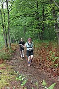 IMG_4214.jpg