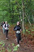 IMG_4222.jpg