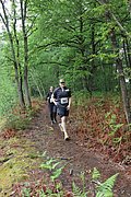 IMG_4225.jpg
