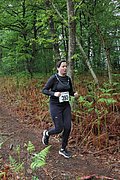 IMG_4228.jpg
