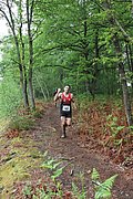 IMG_4232.jpg