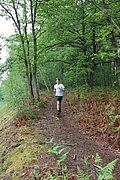 IMG_4242.jpg