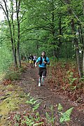 IMG_4250.jpg