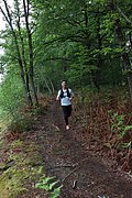IMG_4280.jpg
