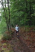 IMG_4290.jpg
