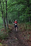 IMG_4303.jpg
