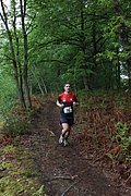 IMG_4304.jpg