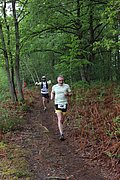 IMG_4308.jpg